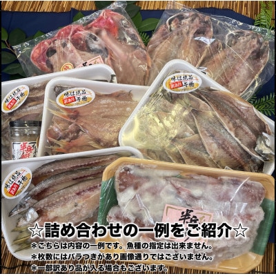 【2ヵ月毎定期便】厳選!おまかせ干物セット【極】小田原の美味しい干物!【神奈川県小田原市早川】全6回