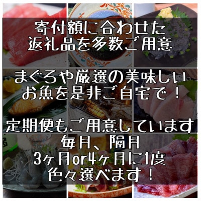 【毎月定期便】朝食干物セット【松】小田原、箱根のホテル、旅館で使用!【神奈川県小田原市早川】全7回