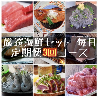 【毎月定期便】特選!海鮮セット!日本酒、焼酎のアテにピッタリ!【神奈川県小田原市早川】全3回