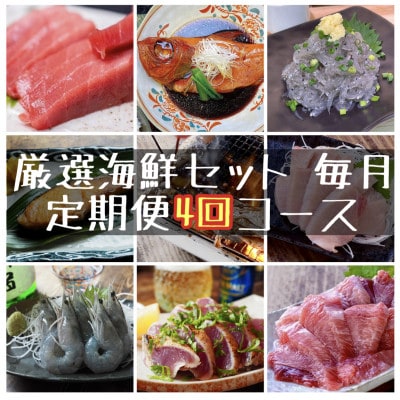 【毎月定期便】特選!海鮮セット!日本酒、焼酎のアテにピッタリ!【神奈川県小田原市早川】全4回