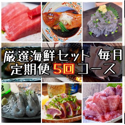 【毎月定期便】特選!海鮮セット!日本酒、焼酎のアテにピッタリ!【神奈川県小田原市早川】全5回