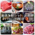 【3ヵ月毎定期便】特選!海鮮セット!日本酒、焼酎のアテにピッタリ!【神奈川県小田原市早川】全3回