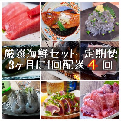 【3ヵ月毎定期便】特選!海鮮セット!日本酒、焼酎のアテにピッタリ!【神奈川県小田原市早川】全4回