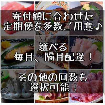 【3ヵ月毎定期便】特選!海鮮セット!日本酒、焼酎のアテにピッタリ!【神奈川県小田原市早川】全4回
