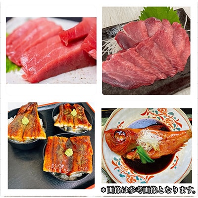 2023年5月発送開始『定期便』【隔月4回配送】特選 海鮮セット【小田原市早川 まぐろや】 全4回