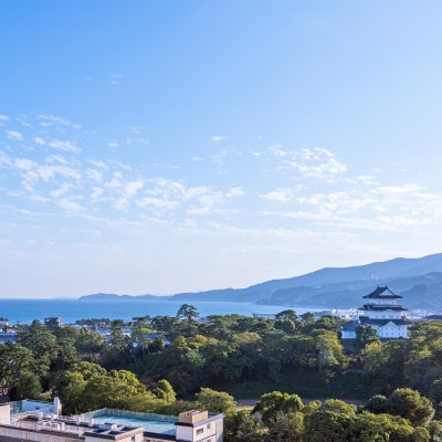 平日素泊りご宿泊券(1泊1名様)【天然温泉浴場ご利用含む】