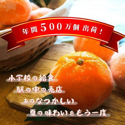 城下町の冷凍みかん 10個