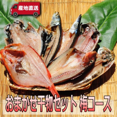 【国産】おまかせ干物セット 梅コース