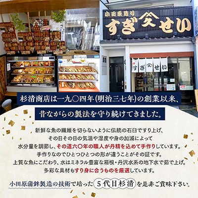 手作りさつま揚げセット 13種18枚入り 101