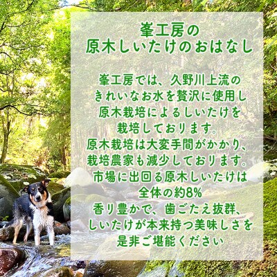ご飯のお供に。おかず4種レギュラーセット