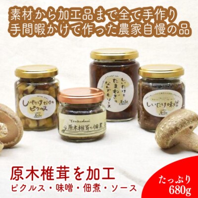椎茸加工品セット(加工品4種セット-ふき)