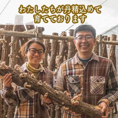 椎茸加工品セット(加工品4種セット-ふき)