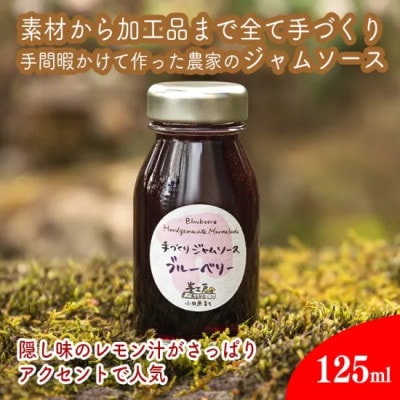 峯フルーツ加工品セット 計6種類 手づくりジャムソース4種 ドライフルーツ2種
