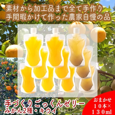 手づくりごっくんゼリー 10本セット 130ml みかん2種・キウイ1種