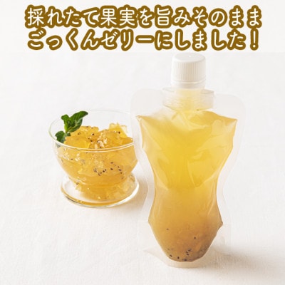 手づくりごっくんゼリー 10本セット 130ml みかん2種・キウイ1種