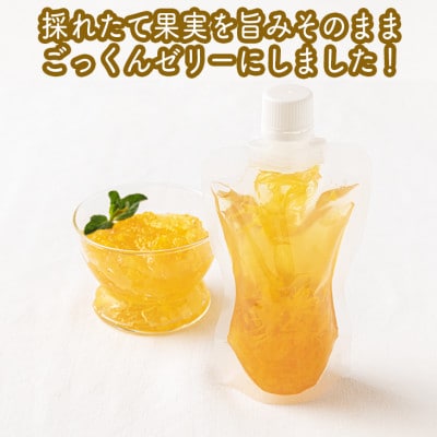 手づくりごっくんゼリー 10本セット 130ml みかん2種・キウイ1種