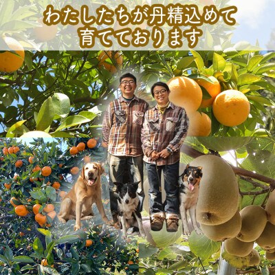 手づくりごっくんゼリー 10本セット 130ml みかん2種・キウイ1種