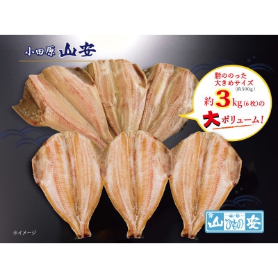 【小田原　山安】大きな縞ほっけ開き干し　約3kg(6枚)
