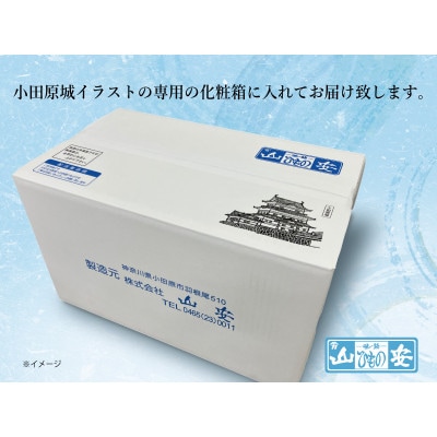 【小田原　山安】老舗の極干物　詰め合わせ4種(10枚)　