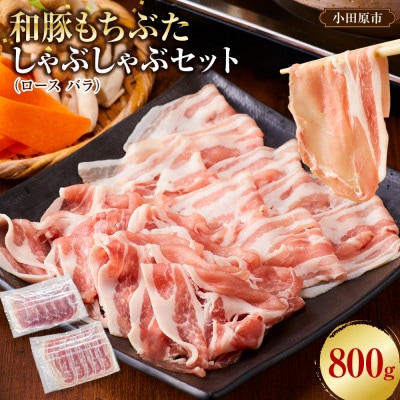 【和豚もちぶた】ロース・バラ詰め合わせ しゃぶしゃぶ用セット　合計800g