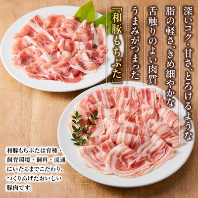 【和豚もちぶた】ロース・バラ詰め合わせ しゃぶしゃぶ用セット　合計800g