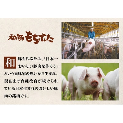 【800g】上質な「和豚もちぶた」肩ロースを使用した特選本格焼豚　