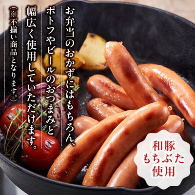 合計 約1kg!和豚もちぶた使用 ウインナー