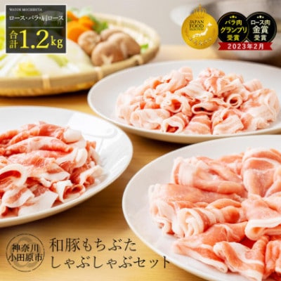 【毎月定期便】【和豚もちぶた】ロース・バラ・肩ロース詰め合わせしゃぶしゃぶセット　計1200g全3回