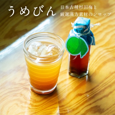 濃厚梅エキスと漢方のシロップ「うめびん(杉田梅) by Kampo Kitchen」