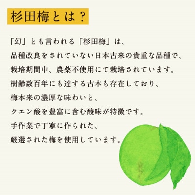 濃厚梅エキスと漢方のシロップ「うめびん(杉田梅) by Kampo Kitchen」
