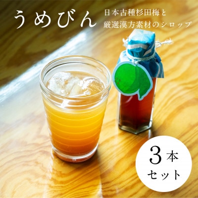 【3本セット】濃厚梅エキスと漢方のシロップ「うめびん(杉田梅) by Kampo Kitchen」