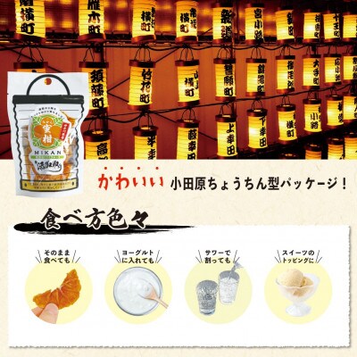 無添加ドライフルーツ(みかん)17g×2袋入【 神奈川県小田原市 】