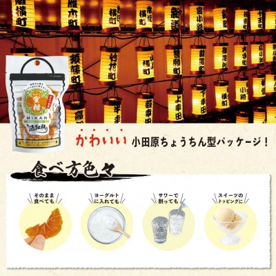 無添加ドライフルーツ(キウイ)16g×2袋入【 神奈川県小田原市 】