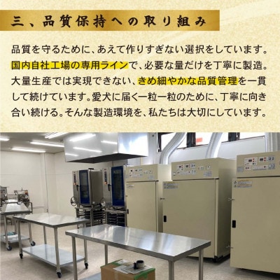 プレミアムドッグフード犬生ーけんせい-　国産総合栄養食　低アレルギー　800g