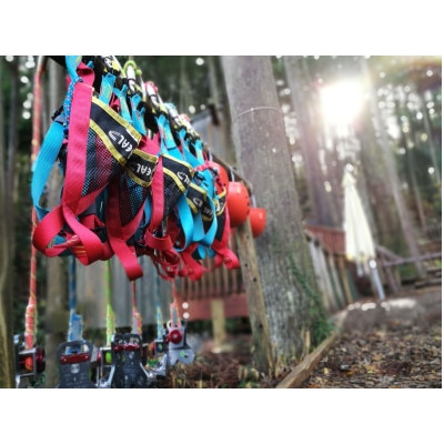 神奈川県　フォレストアドベンチャー・小田原「キッズコース」1名様　体験チケット