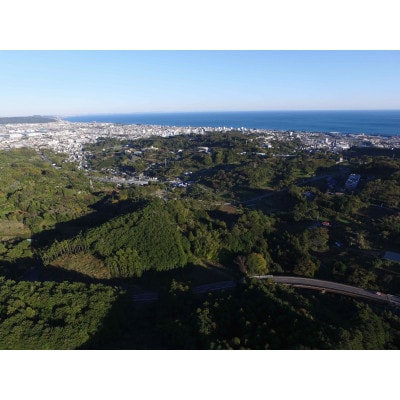 フォレストバイク　1名様　体験チケット(レンタルバイク込)