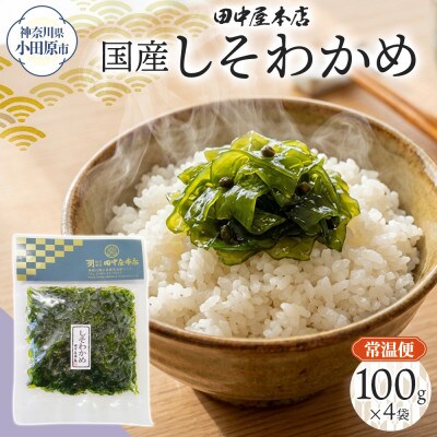 佃煮 しそわかめ 100g×4袋 田中屋本店 小田原市