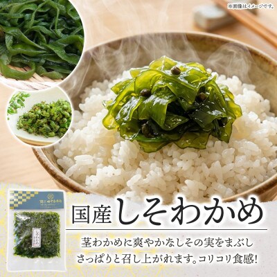 佃煮 しそわかめ 100g×4袋 田中屋本店 小田原市