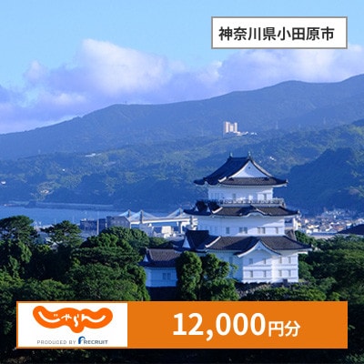 【じゃらんふるさと納税クーポン】 神奈川県小田原市でつかえる12,000円 クーポン