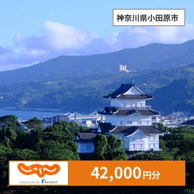 【じゃらんふるさと納税クーポン】 神奈川県小田原市でつかえる42,000円 クーポン