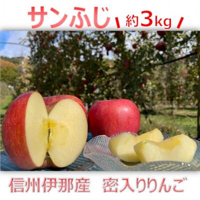 信州伊那産　りんご　サンふじ　3kg