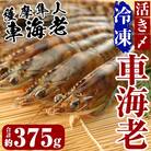 活き〆冷凍車海老「薩摩隼人車海老」約125g(4～6尾入)×3パック【MBC開発】　B-014 