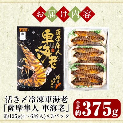 活き〆冷凍車海老「薩摩隼人車海老」約125g(4～6尾入)×3パック【MBC開発】　B-014 