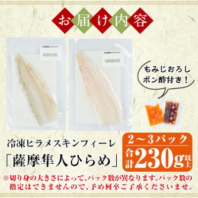 鹿児島県産!薩摩隼人ひらめ230g以上(2～3P)【MBC開発】　A0-331 
