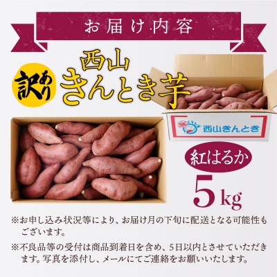 【訳あり】土付き西山きんとき芋(紅はるか)　5kg