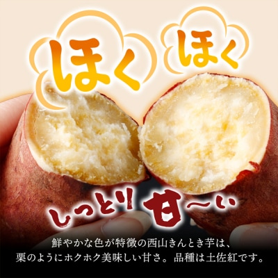 【訳あり】土付き西山きんとき芋(紅はるか)　10kg