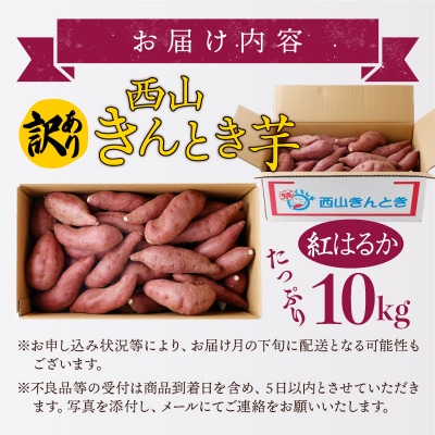 【訳あり】土付き西山きんとき芋(紅はるか)　10kg