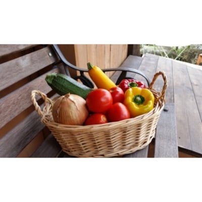 Vege & More ベストセット