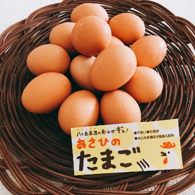 ～八ケ岳のふもと～　平飼い有精卵「あさひのたまご」70個 + 破卵保障10個