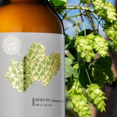北杜産ホップ100%ビール「HOKUTO Japanese pilsner」6本
